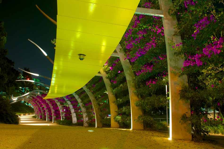 A flower Path in South Bank